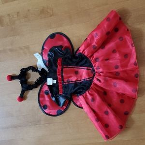 Baby Girls Koala Kids Deluxe LADYBUG 🐞 Halloween Costume Size 6/9 mo NWT